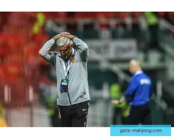 查巴莱主场惜败阿尔泰1球小负战绩受挫